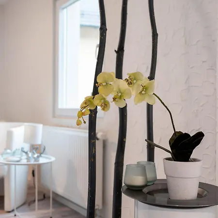 Marina באדן-באדן